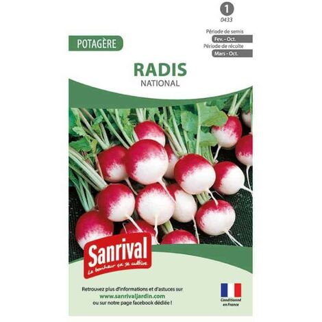 radis rouge ou violet dans des sacs de toile de jute mélange de