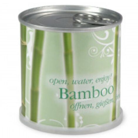 Bambou prêt à pousser en canette – Boite 100% recyclable – Fabriqué en Allemagne – Dimensions 8cm x 7,5cm