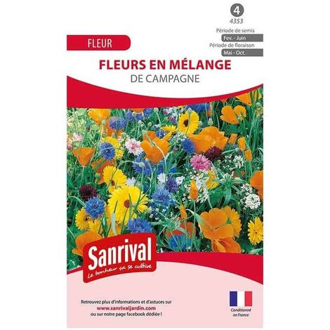 500 Graines Mélange Fleurs Gazon Japonais - Soucis, Zinnia, Centaurée, Lin, Sauge...
