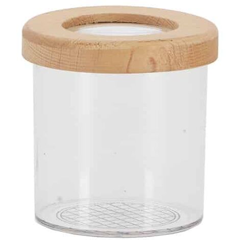Boîte Observation Insecte Exterieur 7 cm (1/3)