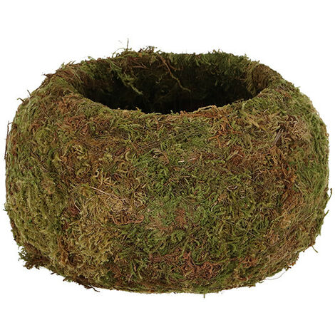 Kokedama boule de mousse 9 cm (1/3)