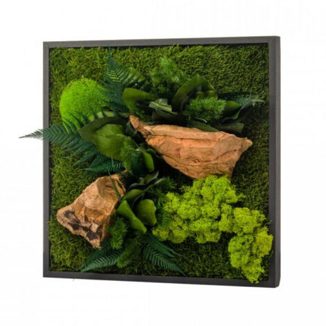 Tableau végétal stabilisé carré 35 x 35 cm – Installation facile sans eau – Pour espaces intérieurs lumineux – Naturalys