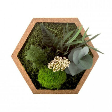 Tableau végétal mural stabilisé 16cm – Plantes stabilisées sans entretien – Accroche murale horizontale et verticale – Décoration intérieure – Naturalys