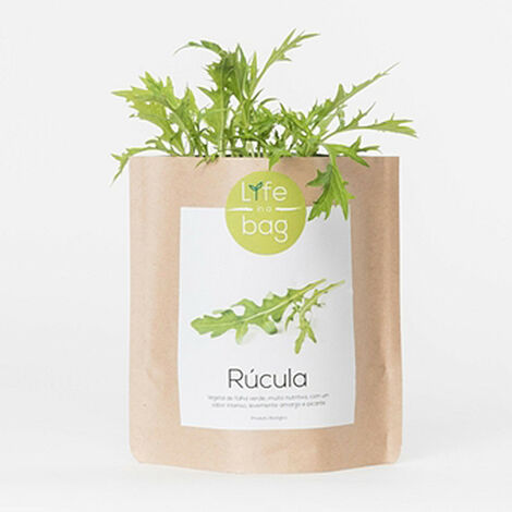 Kit bio prêt à pousser Roquette (1/4)