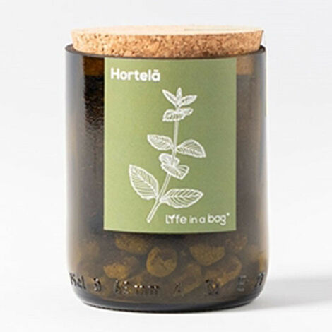 Kit bouteille Prêt à pousser Menthe (1/3)
