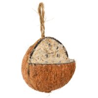 Graines oiseaux Noix de coco suspendre