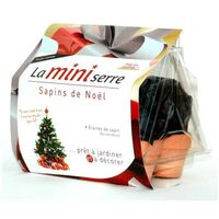 Mini serre 6 pots sapins de Noël