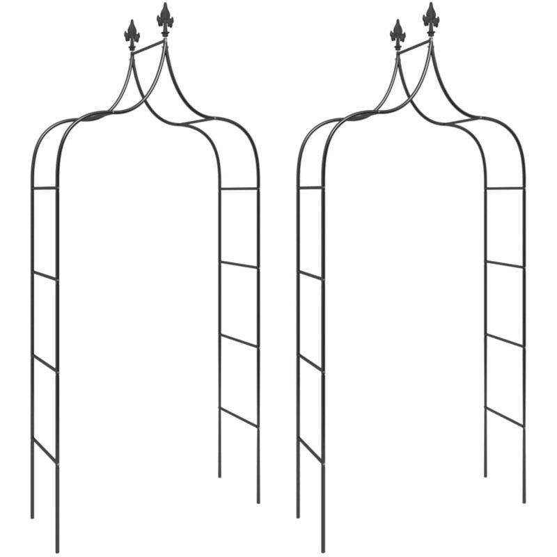 Arches de jardin 2 pcs Noir 120x38x260 cm Acier vidaXL 2