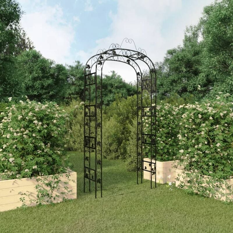 Arche de jardin Noir 116x45x240 cm Acier vidaXL