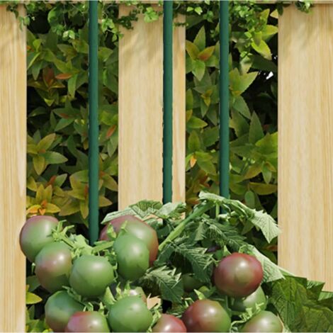 Piquets pour plantes de jardin 30 pcs vert 115 cm acier vidaXL
