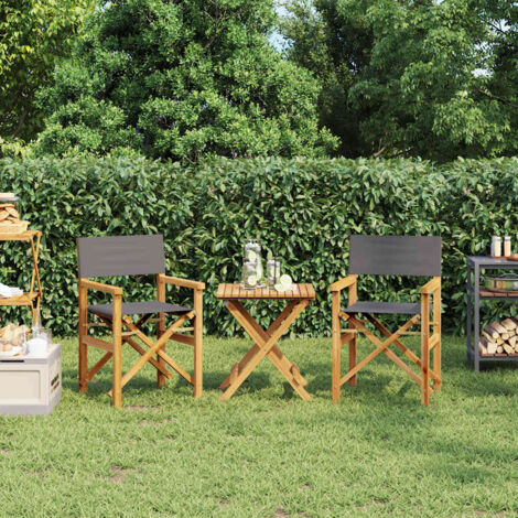 vidaXL Chaises de metteur en scène pliantes lot de 2 Bois teck massif