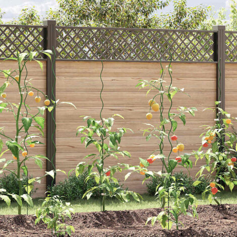 Tuteurs spirales pour plantes 50 pcs Vert 150 cm vidaXL