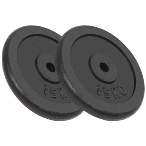 Plaque de poids 2 pcs 2x15 kg Fonte vidaXL