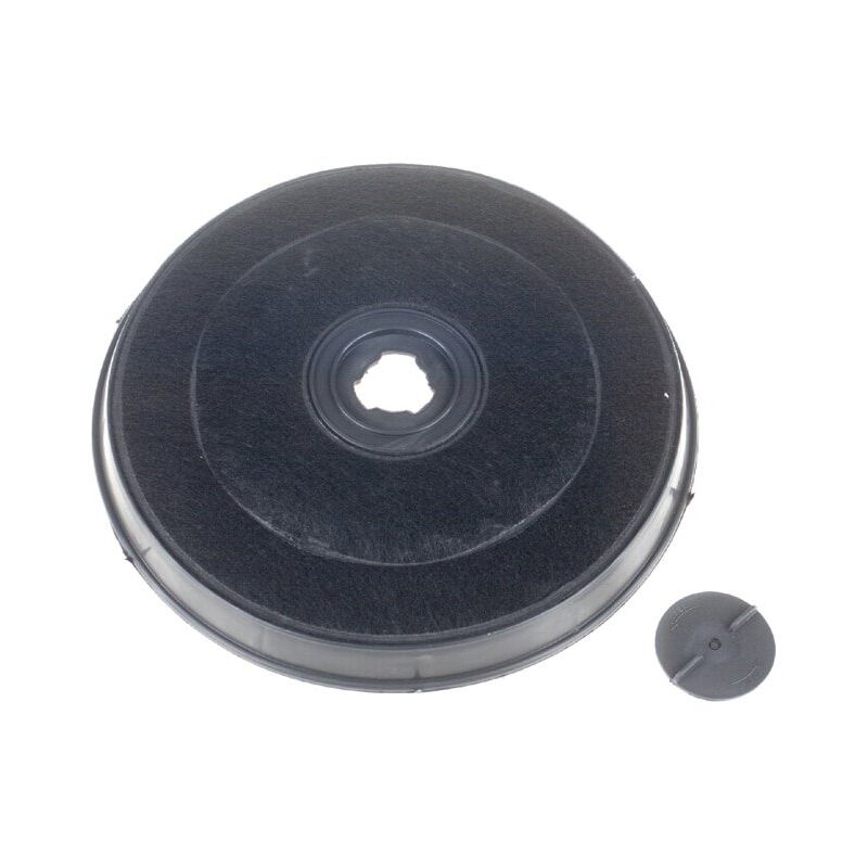 Filtre fine poussière EF129 pour aspirateur UltraFlex - 9001676494 - Electrolux