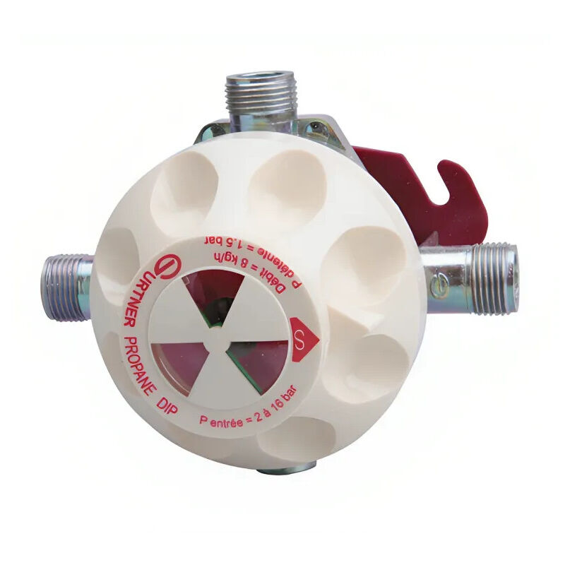 Regolatore GAS GPL A Taratura Regolabile | Leroy Merlin - Foto 6