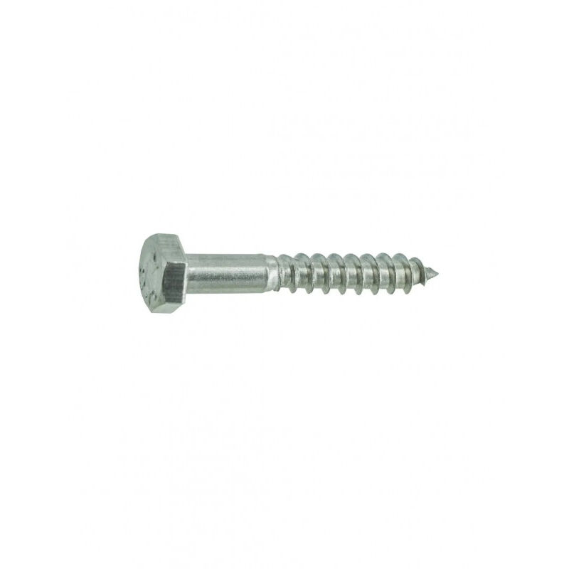 12 Paia Orecchini A Tappo Piatto In Acciaio Inox Oro 14K – Cartilagine Tragus Helix Ipoallergenici