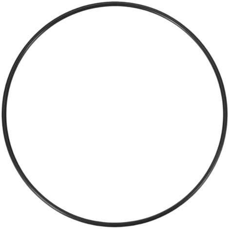 O-ring per il coperchio del pre-filtro della pompa PULSO O-ring per il coperchio del pre-filtro della pompa PULSO