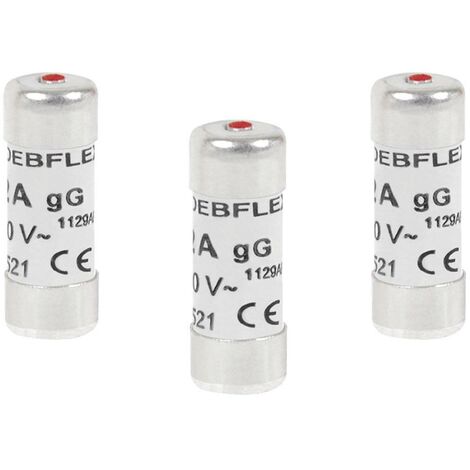 Fusibili con indicatore: 2 ampere (3 pezzi) DEBFLEX