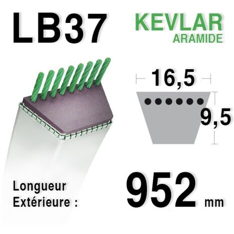 COURROIE LISSE LB37