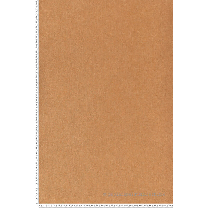 Rasch Hotspot | 804225 | Papier Peint Intissé Uni | 0.53 M X 10.05 M | Rouge - Bricolage
