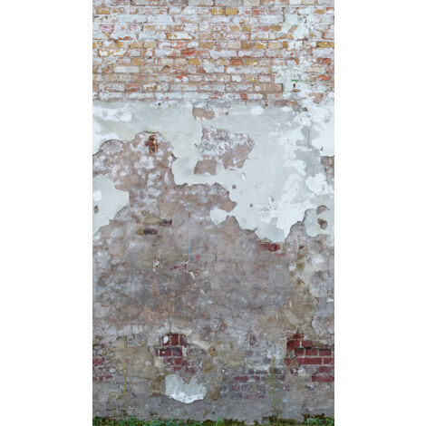 Panoramique Brique Gris The Wall 2 A.S. Création (1/3)