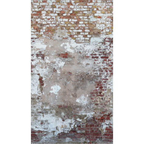 Panoramique Trompe l'oeil Gris The Wall 2 A.S. Création (1/3)