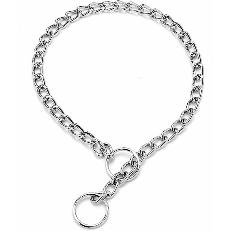 Hundehalsband, Metall, mit sicherer Schnalle, Robust, Kaufest, für Kleine Hunde (19 mm, 30,5 cm)