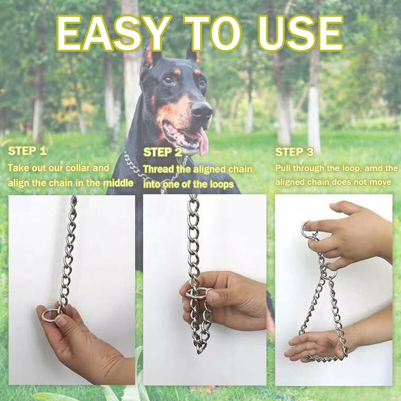 Hundehalsband, Metall, mit sicherer Schnalle, Robust, Kaufest, für Kleine Hunde (19 mm, 30,5 cm)