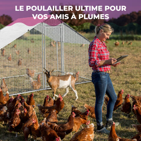 MaxxPet Poulailler 3x2x2m - Enclos extérieur - Volière - Chenil - Poulailler métal