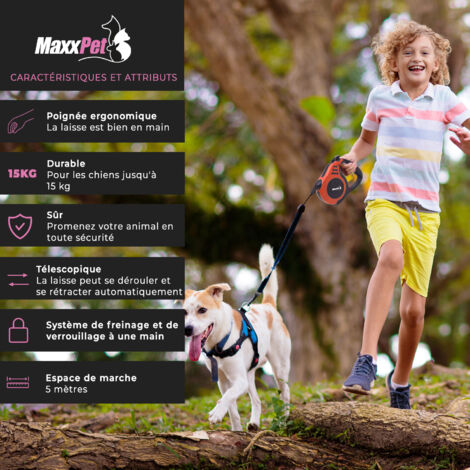 MaxxPet Laisse pour chien rétractable - Laisse pour chien 5 mètres - Laisse pour chien avec bouton de frein - jusqu'à 15 kg - Rouge