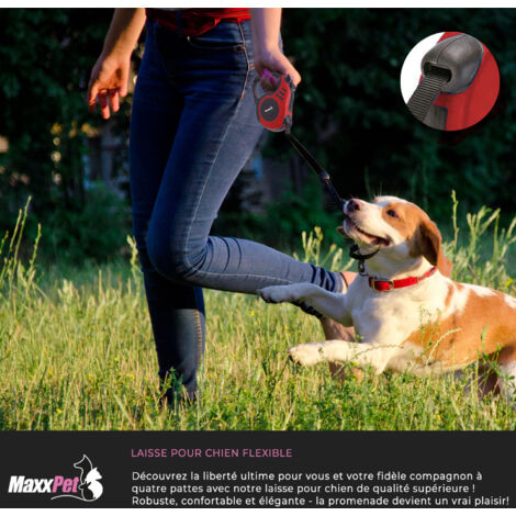 MaxxPet Laisse pour chien rétractable - Laisse pour chien 5 mètres - Laisse pour chien avec bouton de frein - jusqu'à 15 kg - Rouge