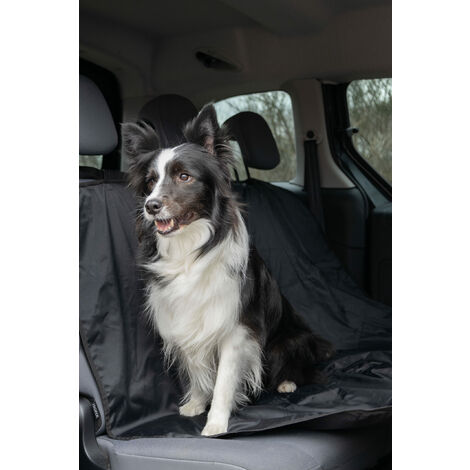 MaxxPet Couverture pour chien voiture 140x144 cm - Protection pour siège  arrière - Coffre - Noir