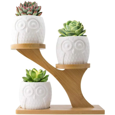 Set 6 Pezzi Vasi In Ceramica Fiori Piante Grasse Gufi Con Sotto Vaso In Bambù Foro Centrale Vasetti Cactus Decorazione Interno Esterno Casa Vasetto Con Foro Scarico Scrivania Comodino Ufficio Fioriera