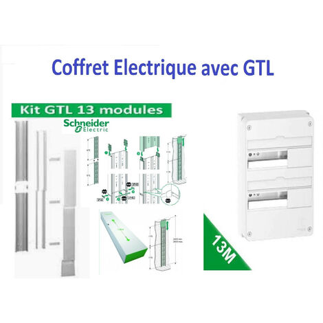 Tableau électrique 13 Modules 2 Rangées Schneider R9H13402 + GTL 13 M - R9HKT13