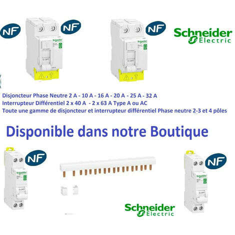 Disjoncteur Schneider Electric - COURBE D - XP 1P + N (10 à 32 Ampères)