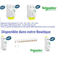 Disjoncteur 1p + n 16A - courbe C - peignable Schneider R9PFC616