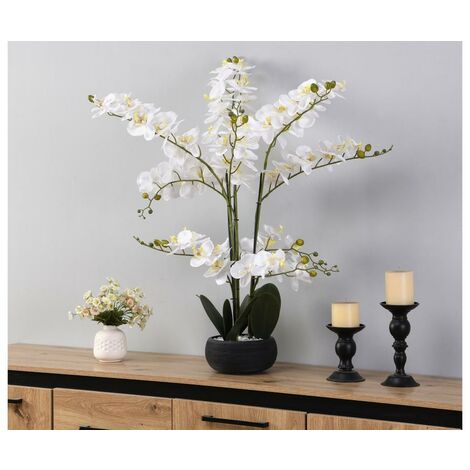 Orchidée avec cache pot céramique blanc