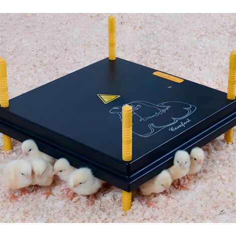 Criadora WP de pollitos - Placa de Calor ajustable  para la cría de Pollitos - 35 pollitos