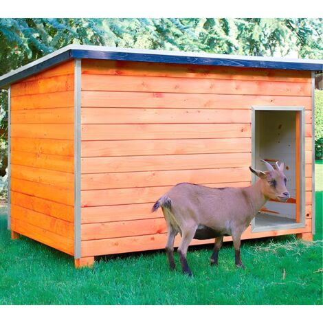 Gallinero para Pavos y Otras Grandes Aves - Caseta para Animales - Refugio para Cabras y ovejas