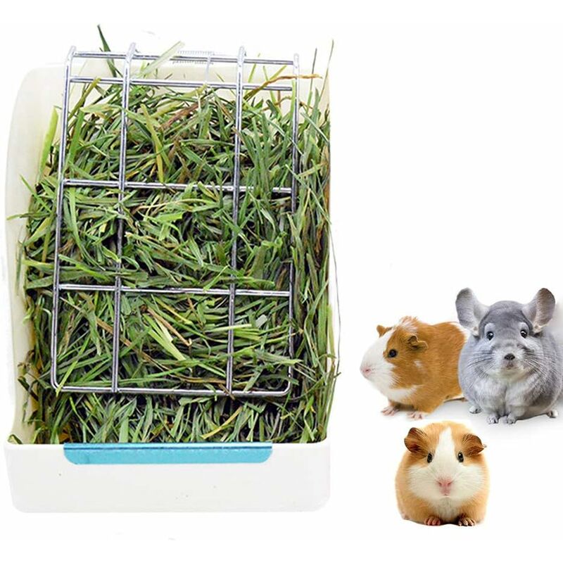 Hay manger for outlet guinea pigs