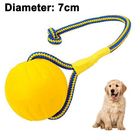 Dog ball on rope on sale