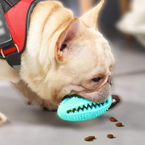 Chew toys that clean dogs teeth best sale