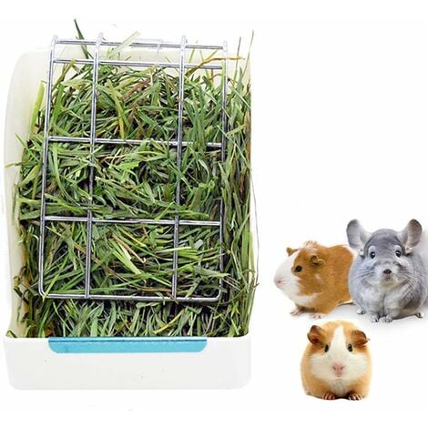 Guinea pig deals hay feeder