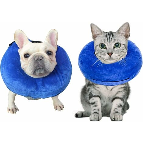 Inflatable cat cheap collar