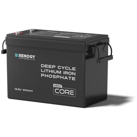 Renogy 12V 300Ah Mini Size LiFePO4 Lithium Battery, 200A BMS for Ultimate Safety, Deep Cycle w/Remote Monitoring Compatibility, Backup Power for RVs, Cabins, Marine, home storage - Core Series (1/5)