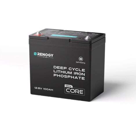 Renogy 12V 100Ah LiFePO4 Mini Size Lithium Battery, Up to 5000+ Deep Cycles, 100A Upgraded BMS, 300A Peak Discharge W/Low Temp Protection, Compact Size for RV, Marine, Solar, Trolling Motor Backpower (1/5)