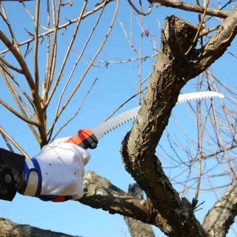 Silky Tsurugi Curve 210-7.5 Pruning Saw 454-21