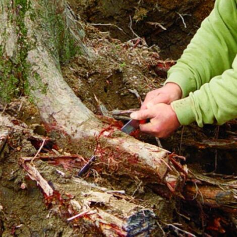 Silky Gomataro 240-8 Pruning Saw 102-24