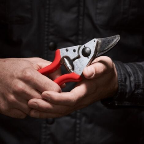 Felco 6 L75 Secateurs