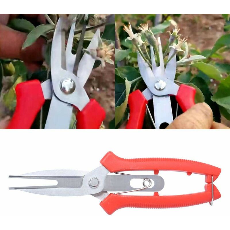 Bonsaï Ciseaux Acier Inoxydable, Cisailles de Jardin Ciseau à Plante Ciseaux  à Branches Bonsai Outils (20mm)